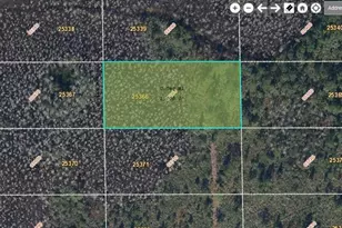 Dill Rd, Orlando, FL 32820 - Photo 1