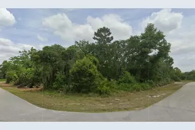 430 Grant Avenue NE, Lake Placid, FL 33852 - Photo 1