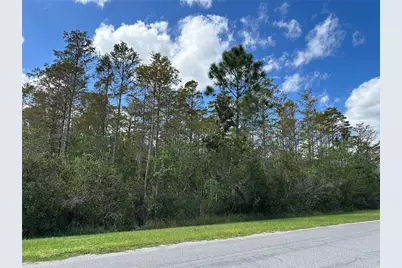 Wembley Avenue, Orlando, FL 32833 - Photo 3