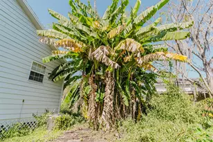 2935 Aein Rd, Orlando, FL 32817 - Photo 23