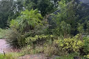 4150 Citrus St, Kissimmee, FL 34746 - Photo 13