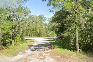Malauka Loop Trace, Ocklawaha, FL 32179 - Photo 1