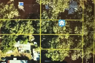 Lot, Lake Panasoffkee, FL 33538 - Photo 1