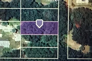 Lot, Lake Panasoffkee, FL 33538 - Photo 1