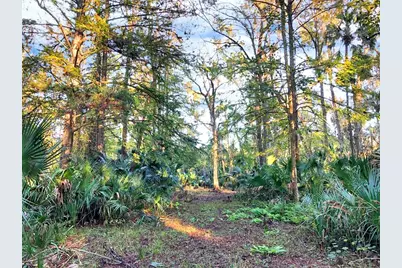 Bronson Road, Sorrento, FL 32776 - Photo 7