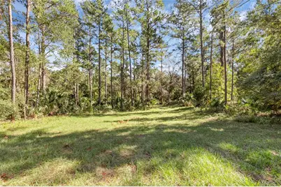 Bronson Road, Sorrento, FL 32776 - Photo 5