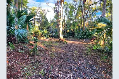 Bronson Road, Sorrento, FL 32776 - Photo 11