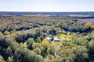 4195 Co Rd 305, Bunnell, FL 32110 - Photo 37