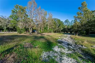 4195 Co Rd 305, Bunnell, FL 32110 - Photo 53