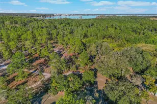 1592 Wynford Cir, Tavares, FL 32778 - Photo 37