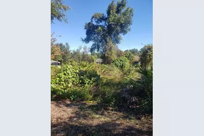 Chestnut Avenue, Orange City, FL 32763 - Photo 1