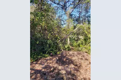 Chestnut Avenue, Orange City, FL 32763 - Photo 3