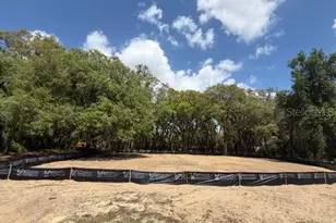 17144 Phil C Peters Rd, Winter Garden, FL 34787 - Photo 3