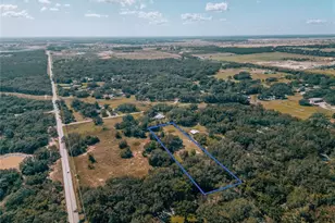 17144 Phil C Peters Rd, Winter Garden, FL 34787 - Photo 3