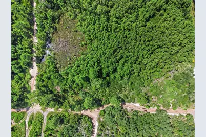 Parcel 230, E Holly Hock Road, Deland, FL 32724 - Photo 15