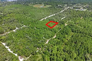 Parcel 230 E Holly Hock Rd, Deland, FL 32724 - Photo 1