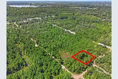 Parcel 229, E Holly Hock Road, Deland, FL 32724 - Photo 9