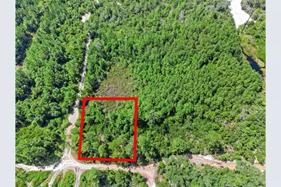 Parcel 229, E Holly Hock Road, Deland, FL 32724 - Photo 13