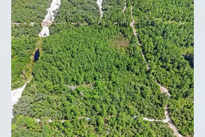 Parcel 229, E Holly Hock Road, Deland, FL 32724 - Photo 5