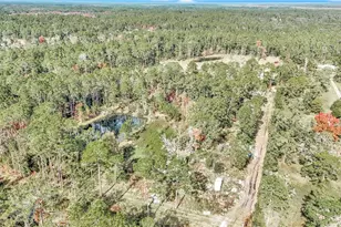 14497 E Hwy 316, Fort Mc Coy, FL 32134 - Photo 1