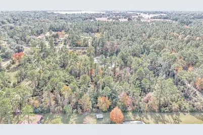 14497 E Highway 316, Fort Mc Coy, FL 32134 - Photo 7