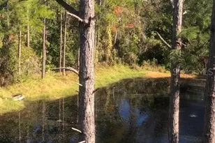 413 Summit Ridge Pl, Longwood, FL 32779 - Photo 9