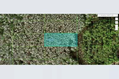 Sweet Hill Rd, Polk City, FL 33868 - Photo 1