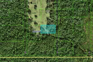 Commonwealth Ave N, Polk City, FL 33868 - Photo 1