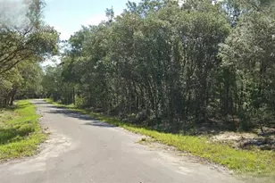 Fisher Way Dr, Ocklawaha, FL 32179 - Photo 1
