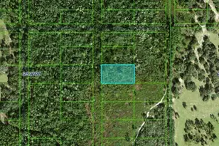 Commonwealth Ave N, Polk City, FL 33868 - Photo 1