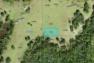 Commonwealth Ave N Ave N, Polk City, FL 33868 - Photo 1