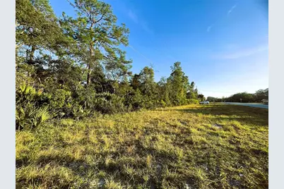 0 Sr-19, Altoona, FL 32702 - Photo 1