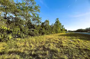 0 Sr-19, Altoona, FL 32702 - Photo 1