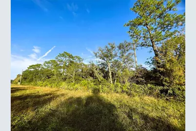 0 Sr-19, Altoona, FL 32702 - Photo 3
