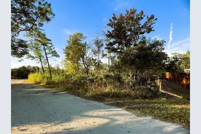 0 Sr-19, Altoona, FL 32702 - Photo 7