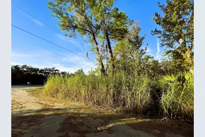 0 Sr-19, Altoona, FL 32702 - Photo 5