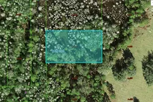 Commonwealth Ave N, Polk City, FL 33868 - Photo 1