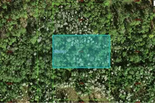 Commanwealth Ave N, Polk City, FL 33868 - Photo 1