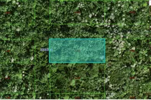 Commonwealth Ave N, Polk City, FL 33868 - Photo 1