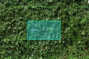 Commonwealth Ave N, Polk City, FL 33868 - Photo 1