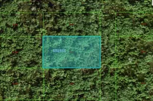 Commonwealth Ave N, Polk City, FL 33868 - Photo 1