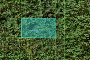 Commonweallth Ave N, Polk City, FL 33868 - Photo 1