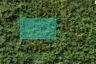 Commonwealth Ave N, Polk City, FL 33868 - Photo 1