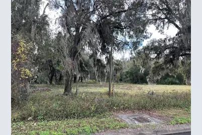 Doyle Road, Osteen, FL 32764 - Photo 1