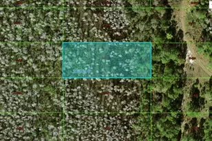 Old Grade Rd, Polk City, FL 33868 - Photo 1