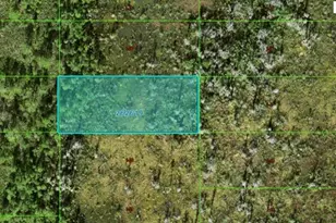 Old Grade Rd, Polk City, FL 33868 - Photo 1