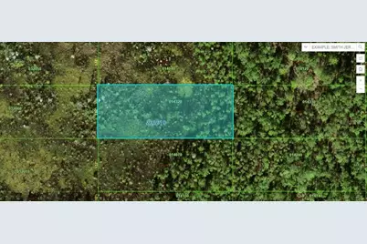 Old Grade Rd, Polk City, FL 33868 - Photo 1