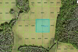 Commonwealth Ave N, Polk City, FL 33868 - Photo 1