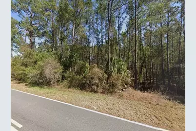 Royal Trails Road, Eustis, FL 32736 - Photo 1