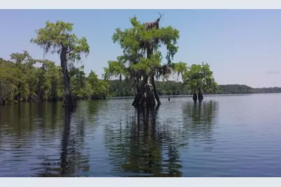 Royal Trails Road, Eustis, FL 32736 - Photo 3